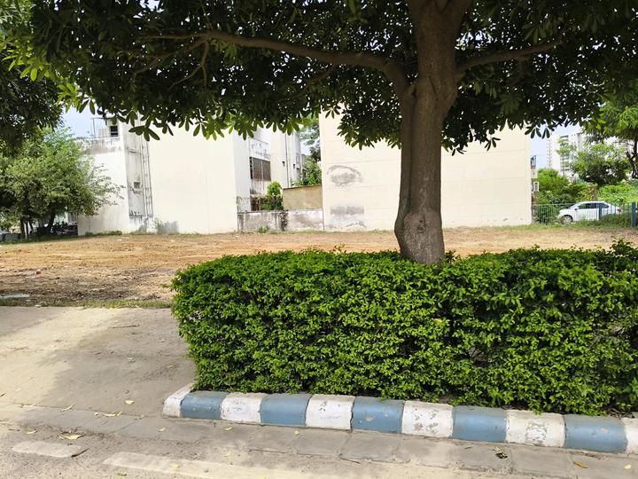 Vatika India Next Main Image 1