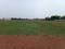 Kohka Plot View 2