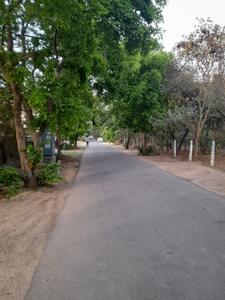 Image of 450 Sq.ft Residential Plot / Land for sale in Delta III, Greater Noida for Rs. 60000000