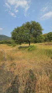 Image of 6000 Sq.ft Residential Plot / Land for sale in Varve Khurd, Pune for Rs. 1200000