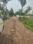 KONCHOWKI HOUSING SOCIETY Internal Roads 2