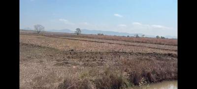 City Prop Plot In Hamarapur Plot View 3