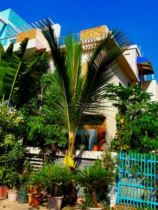Image of 2900 Sq.ft 6 BHK Independent House for sale in Satya Malwa County, Manglia, Indore for Rs. 18000000