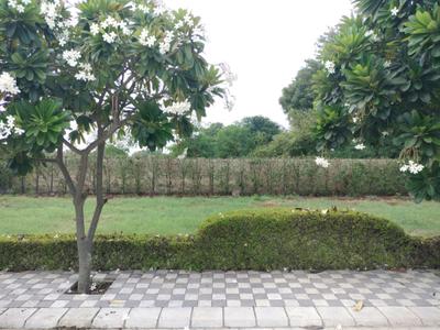 Image of 150 Sq.ft Residential Plot / Land for sale in Mansha Oaks, Sector 98, Faridabad for Rs. 18200000