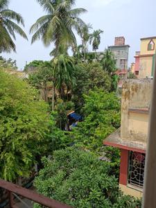 Balcony Image of 700 Sq.ft 2 BHK Apartment / Flat for sale in Bansdroni Kolkata for Rs. 2500000