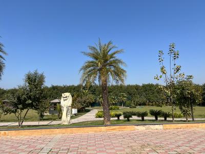 Image of 400 Sq.ft Residential Plot / Land for sale in Omaxe Phase 3 Mullanpur, New Chandigarh, Chandigarh for Rs. 55000000