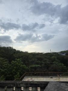 Image of 550 Sq.ft 2 BHK Builder Floor for sale in Gulmohar Colony, Bhopal for Rs. 2200000