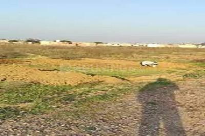 Image of 1485 Sq.ft Residential Plot / Land for sale in ASM Shree Jaswant Garden, Sector 14, Panchkula for Rs. 11882102