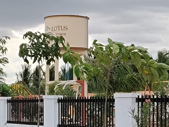 The Lotus Town Main Image 1