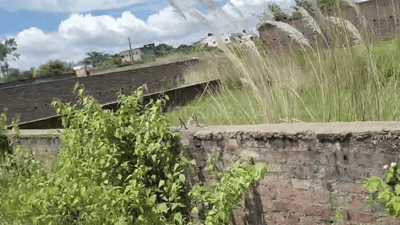 Image of 435 Sq.ft Residential Plot / Land for sale in Pundag, Ranchi for Rs. 1300000