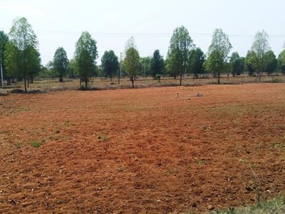 Image of 2000 Sq.ft Residential Plot / Land for sale in BV Nagar, Nellore for Rs. 1080000