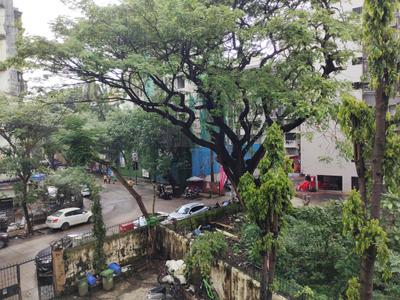 Bedroom Image of 534 Sq.ft 1 BHK Apartment / Flat for sale in Bahava Apartment by Tauseef Jaweed Shaikh And Jaweed Gulam Shaikh, Kandivali West Mumbai for Rs. 12500000