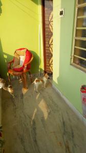 Balcony Image of 960 Sq.ft 2 BHK Apartment / Flat for sale in Shibpur Howrah for Rs. 2900000
