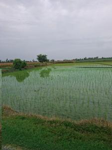 Image of 18900 Sq.ft Residential Plot / Land for sale in Ganga County, Garh Mukteshwar, Hapur for Rs. 50000000