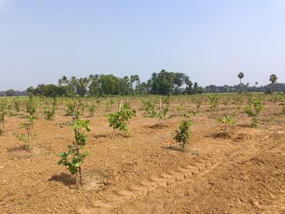 Image of 200 Sq.ft Residential Plot / Land for sale in Kothavalasa, Visakhapatnam for Rs. 1200000