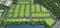 Green Estates by Mahindra Plot View 2