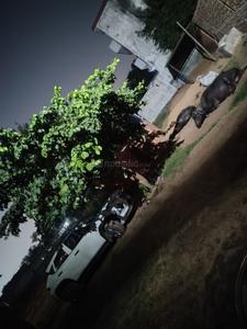 Image of 900 Sq.ft Residential Plot / Land for sale in Sector 78, Gurgaon for Rs. 3800000
