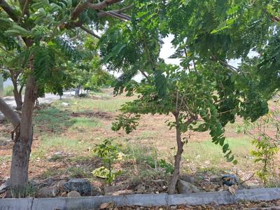 Image of 1500 Sq.ft Residential Plot / Land for sale in Palur, Tiruchirappalli for Rs. 6750000