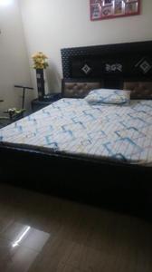 Project Images