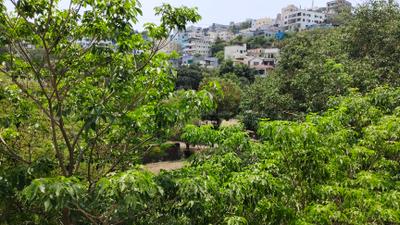 Image of 1050 Sq.ft 2 BHK Apartment / Flat for rent in Basil Chandrakant Phase 1, Ambegaon Budruk, Pune for Rs. 20000