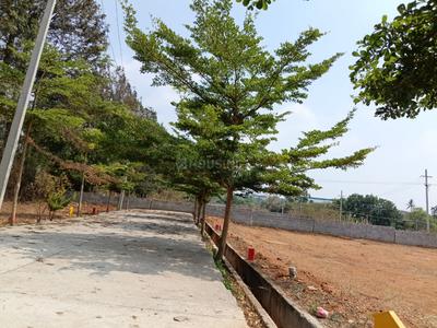 Thyme Park Plot View 3
