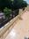 Balcony Image of Hs no 1674 sector 64 phase 10 in Sector 64, Mohali