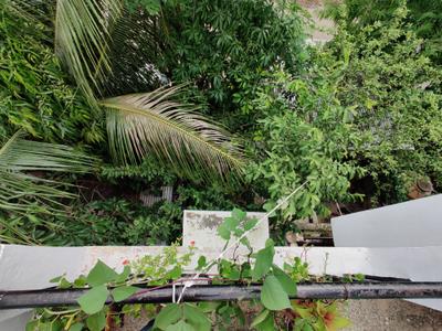 Image of 1600 Sq.ft 3 BHK Independent House for sale in Jalna Town, Jalna for Rs. 10000000
