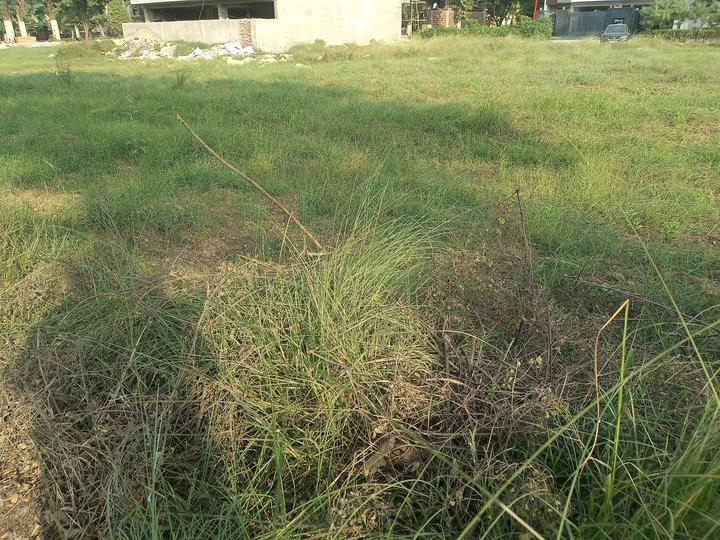 Experion The Westerlies Plots Main Image 1