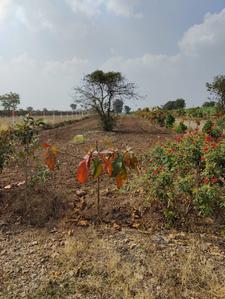 Image of 2226 Sq.ft Residential Plot / Land for sale in Lulla Nagar, Pune for Rs. 1113000