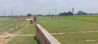 Image of 1000 Sq.ft Residential Plot / Land for sale in Bihta, Patna for Rs. 1550000