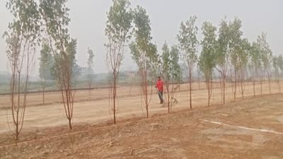 Image of 1000 Sq.ft Residential Plot / Land for sale in Mohanlalganj, Lucknow for Rs. 1550000