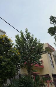 Image of 1500 Sq.ft Residential Plot / Land for sale in Jankipuram Extension, Lucknow for Rs. 3800000