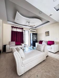 Hall Image of 1800 Sq.ft 3 BHK Apartment / Flat for rent in Unitech Fresco, Sector 50 Gurgaon for Rs. 55000