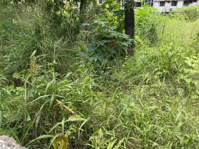 Keralarealty Plot View 2