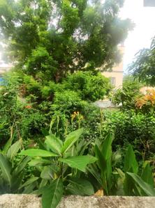 Balcony Image of 2310 Sq.ft 3 BHK Independent House for sale in Meher Nager Srikakulam for Rs. 15000000