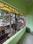 Shiv shakti Realtors Balcony 1