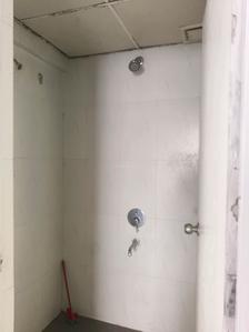 Common Bathroom Image of 695 Sq.ft 1 BHK Apartment / Flat for sale in Lodha Casa Rio, Palava Phase 1 Thane for Rs. 2900000