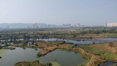 Balcony Image of 1050 Sq.ft 2 BHK Apartment / Flat for sale in Bhaveshwar Callista 2, Kalamboli Navi Mumbai for Rs. 11000000