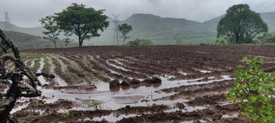 Image of 1000 Sq.ft 1 RK Farm House for sale in Khed Shivapur, Pune for Rs. 700000