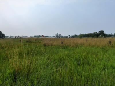 Image of 1440 Sq.ft Residential Plot / Land for sale in Raspunja Township, Joka, Kolkata for Rs. 512999
