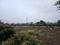 Perne Plot View 2