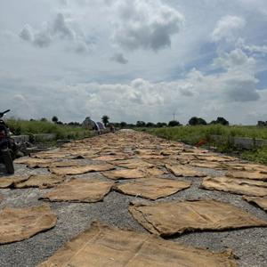 Image of 900 Sq.ft Residential Plot / Land for sale in Panchderiya, Indore for Rs. 3015900