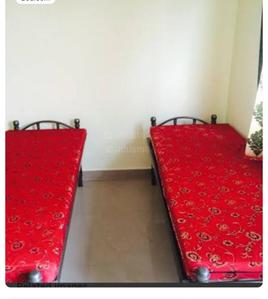 Image of Lakshmi paying guest accommodation  in Basavanagudi, Bengaluru