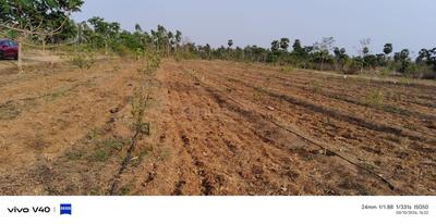 Image of 100 Sq.ft Residential Plot / Land for sale in Anakapalle, Visakhapatnam for Rs. 600001