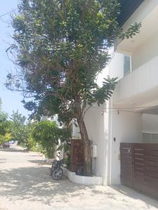 Building Image of 3995 Sq.ft 4 BHK Villa for sale in Thiruvanmiyur Chennai for Rs. 61000000