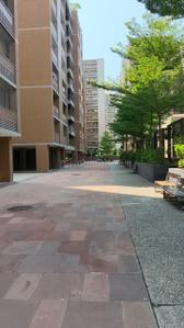 Image of 3300 Sq.ft 4 BHK Apartment / Flat for sale in Shilp Shaligram, Vastrapur, Ahmedabad for Rs. 36500000