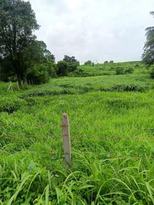 Residential Plot
