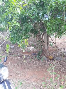 Image of 1540 Sq.ft Residential Plot / Land for sale in Bedarahalli, Bengaluru for Rs. 13600000