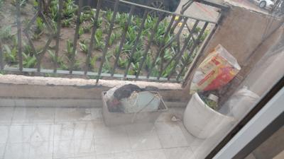 Image of 800 Sq.ft 2 BHK Apartment / Flat for sale in MRG The Balcony, Sector 93, Gurgaon for Rs. 7300000