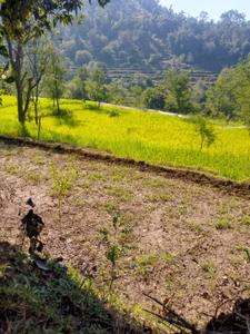 Image of 1000 Sq.ft Residential Plot / Land for sale in Morni Hills, Morni, Panchkula for Rs. 5000000